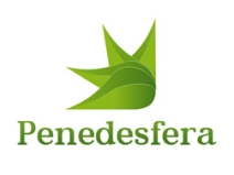 Penedesfera 2011. Com les TIC han transformat les empreses tradicionals. 